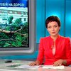 В Днепропетровской области на маршрутку с пассажирами упало дерево