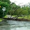 На США обрушился тропический шторм Дебби