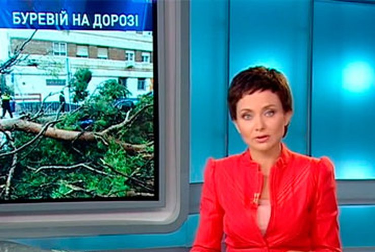 В Днепропетровской области на маршрутку с пассажирами упало дерево