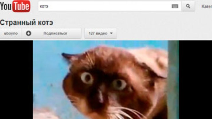 Google создала нейронную сеть, распознающую котов