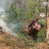 В Ялтинском заповеднике удалось потушить лесной пожар