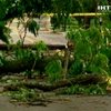 США приходят в себя после разрушительного урагана
