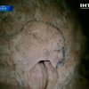 В Румынии нашли наскальные рисунки возрастом 35 тысяч лет