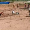 Археологическую находку на Буковине затопят из-за местной ГЭС