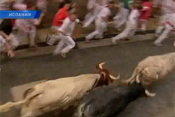 Забег быков и людей в испанской Памплоне не обошелся без раненых