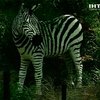 В Нью-Йоркском зоопарке появились животные, сделанные из лего
