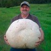 Канадец нашел в лесу 26-килограммовый гриб