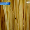 Харьковская сыроварня шокировала прокуратуру  антисанитарией