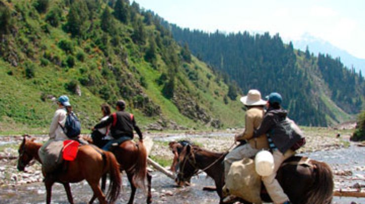 Президент Кыргызстана спас животных от золотодобытчиков