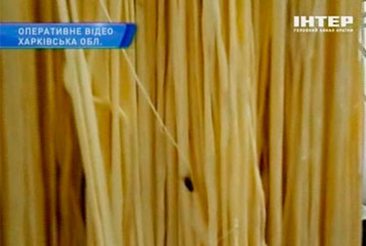 Харьковская сыроварня шокировала прокуратуру  антисанитарией