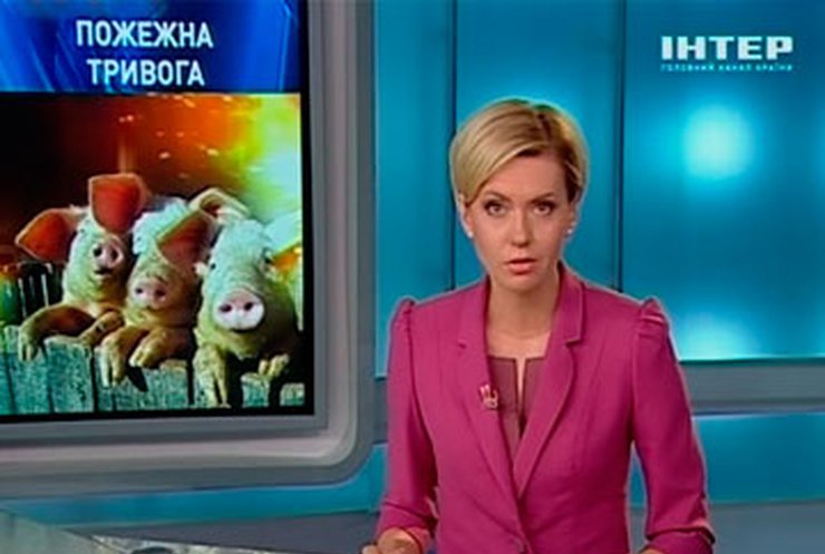 В Одесской области молния чуть не сожгла свиноферму