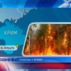 В Крыму близ Алушты горел лес