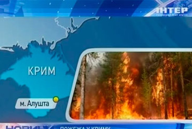 В Крыму близ Алушты горел лес