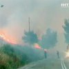 Греческий полуостров Пелопонес охватили лесные пожары