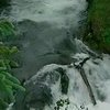 На Аляске отрылся сезон ловли лосося