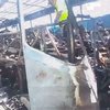 Виновником теракта в Болгарии называют организацию "Хизбалла"