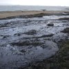 На берегу Черного моря устраняют последствия разлива нефтепродуктов