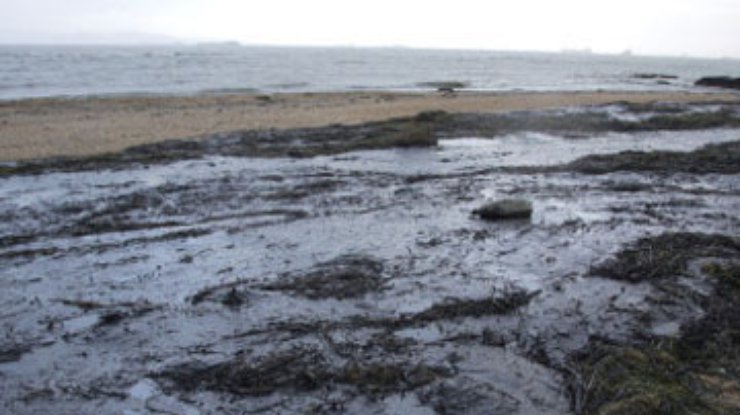 На берегу Черного моря устраняют последствия разлива нефтепродуктов