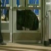 В Пенсильвании медведица зашла в супер-маркет