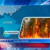 В Севастополе горел лес возле Сапун-горы