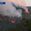 4 человека стали жертвами лесных пожаров в Испании