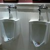 Американцы научили писсуары разговаривать