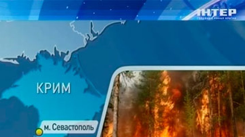 В Севастополе горел лес возле Сапун-горы