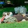 Болгарские сборщики черники не могут вернуться домой из Швеции ‎