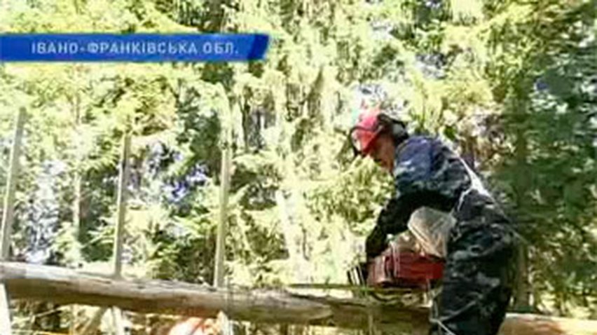 В Карпатах прошли соревнования вальщиков леса