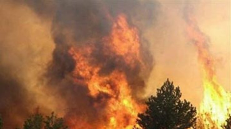 На Херсонщине трактористы устроили лесной пожар