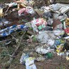 Волонтеры из Британии собирают в селе под Харьковом мусор
