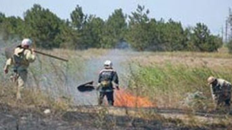 В Николаевской области горела курортная зона