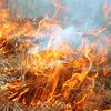 На территории воинской части в Николаеве сгорела трава