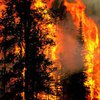 Близ святой горы Афон бушует лесной пожар