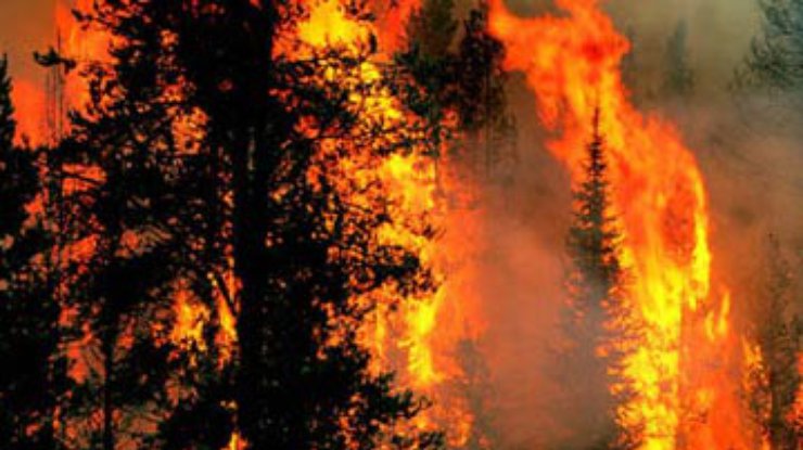 Близ святой горы Афон бушует лесной пожар