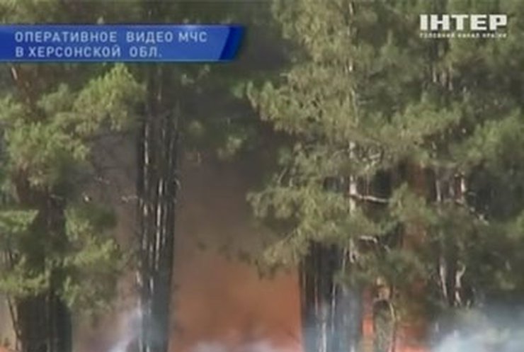 В Херсонской области бушуют лесные пожары