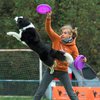 Чемпионат Европы по фрисби для собак проходит в Польше