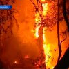 Канарские острова охвачены сильнейшими пожарами