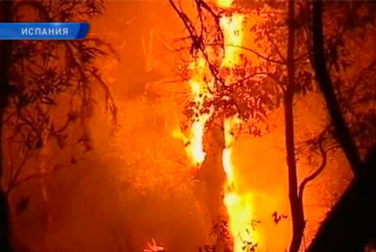 Канарские острова охвачены сильнейшими пожарами
