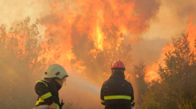 В Хорватии бушуют лесные пожары