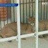 Кировоградский фермер организовал частный зоопарк