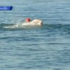 Четырнадцатилетняя канадка переплыла озеро Онтарио