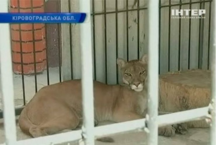 Кировоградский фермер организовал частный зоопарк