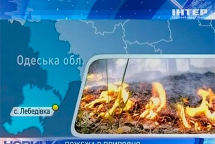 В Одесской области горел природно-национальный комплекс