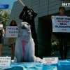 Японцы протестуют против убийств морских котиков