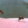 В США растет количество жертв смертельного вируса