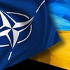 НАТО выделит Украине деньги на утилизацию боеприпасов