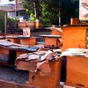 У жителя Нью-Йорка конфисковали незаконную пасеку на три миллиона пчел