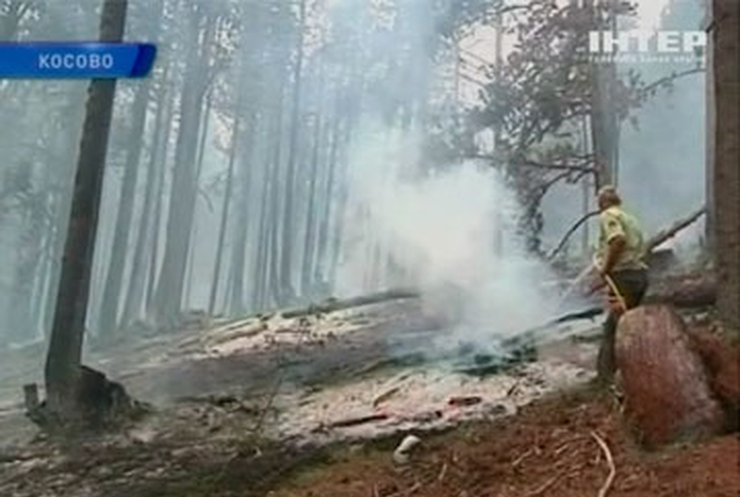 В Косово из-за жары горят сосновые леса