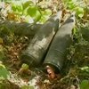 В Ужгороде обезвредили артилерийские снаряды